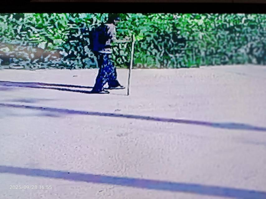 走失者照片 寻人找母亲，提供有效线索，必有重谢...