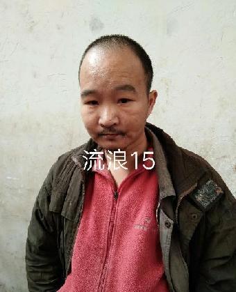 走失者照片 全国救助站