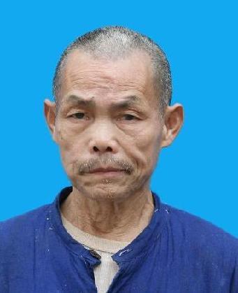 走失者照片 全国救助站