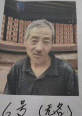 走失者照片 全国救助站