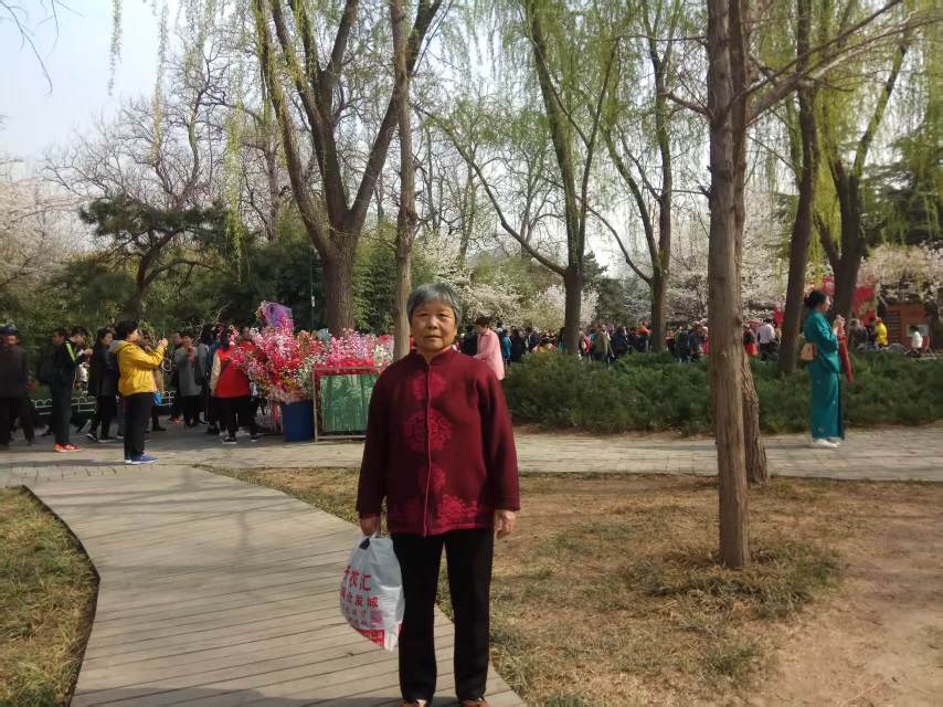 走失者照片 家母走失37天，望好心人关注！谢谢...