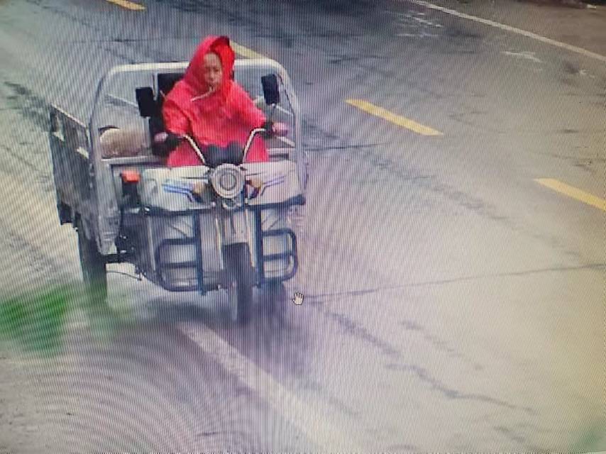 走失者照片 有看到的叔叔阿姨,请及时与我联系,...