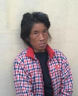 走失者照片 全国救助站