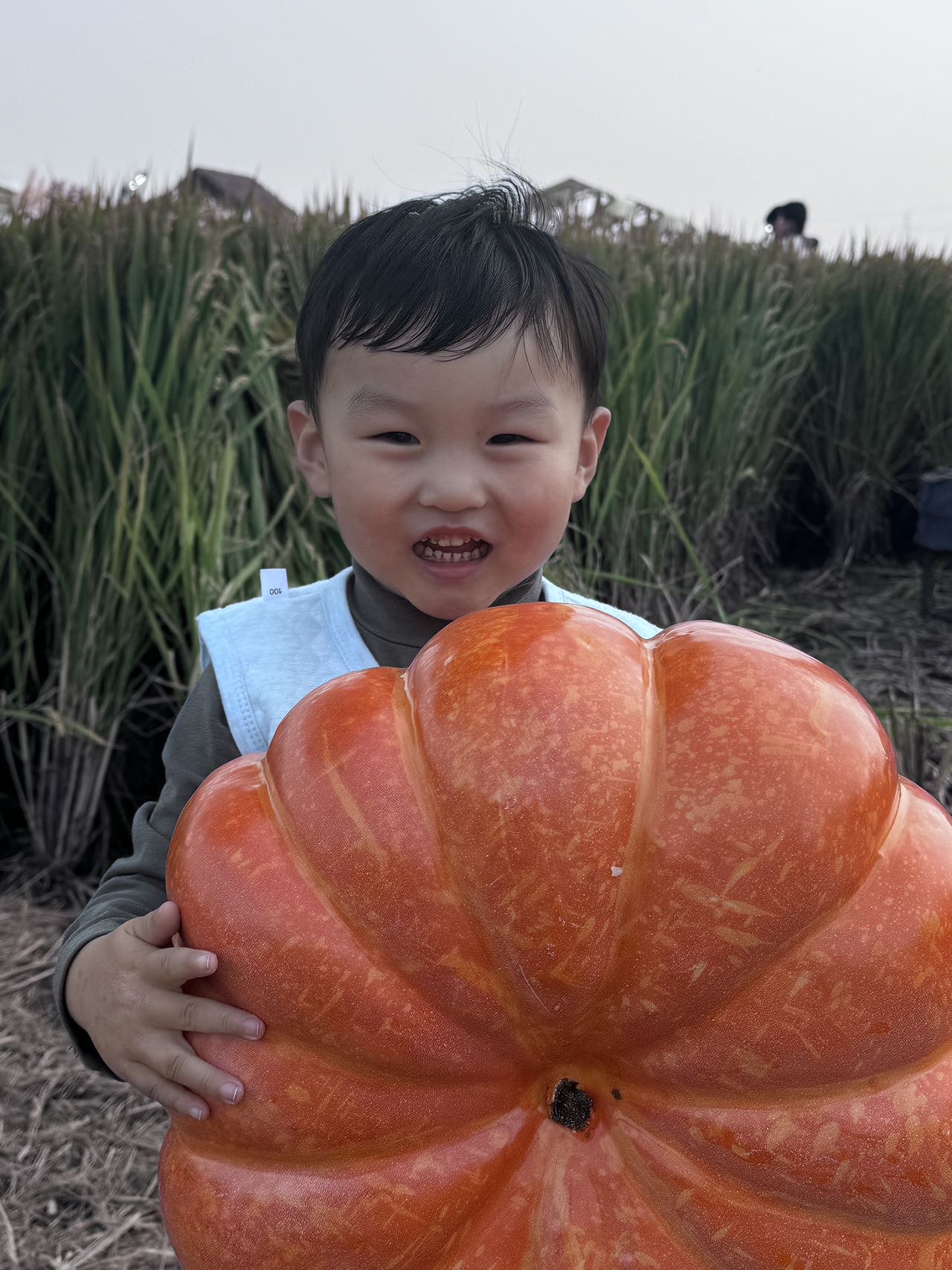 走失者照片 拜托大家帮帮忙寻找孩子的亲人