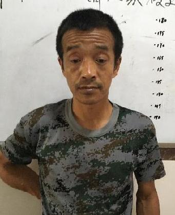 走失者照片 全国救助站
