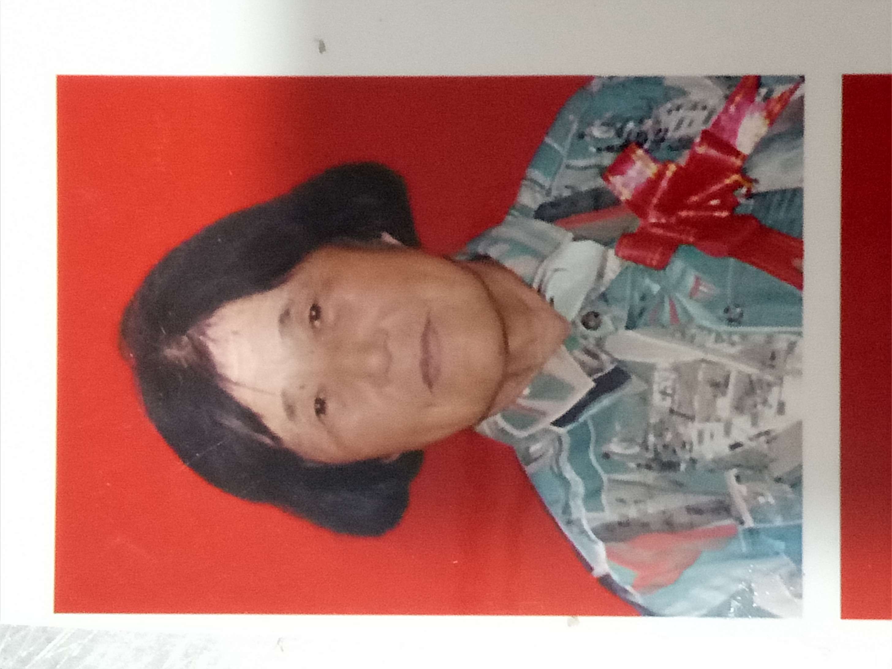 走失者照片 母亲快回来
