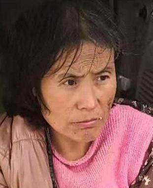 走失者照片 全国救助站