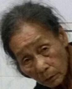 走失者照片 全国救助站