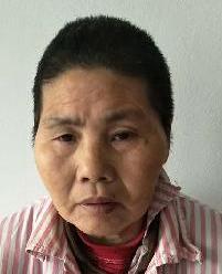 走失者照片 全国救助站