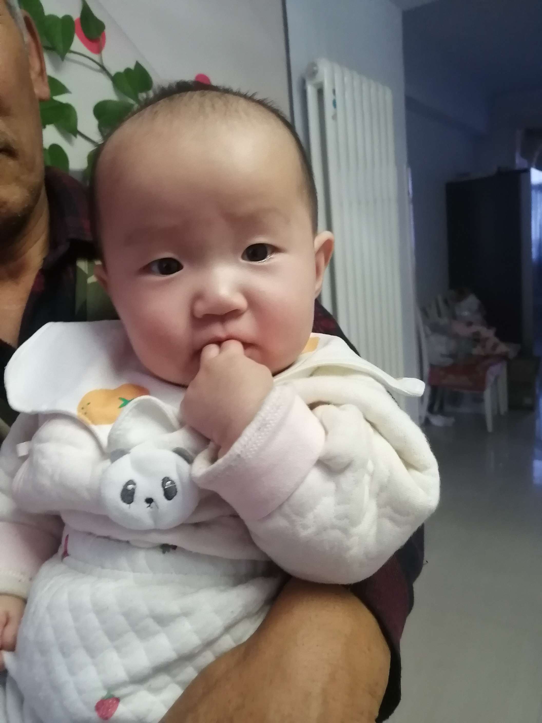 走失者照片 找妈妈