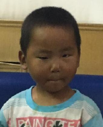 走失者照片 全国救助站
