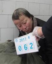 走失者照片 全国救助站