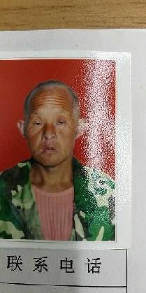 走失者照片 全国救助站