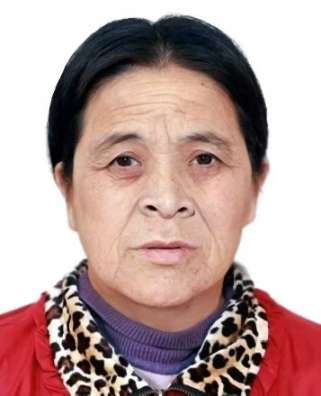 走失者照片 母亲寻找家