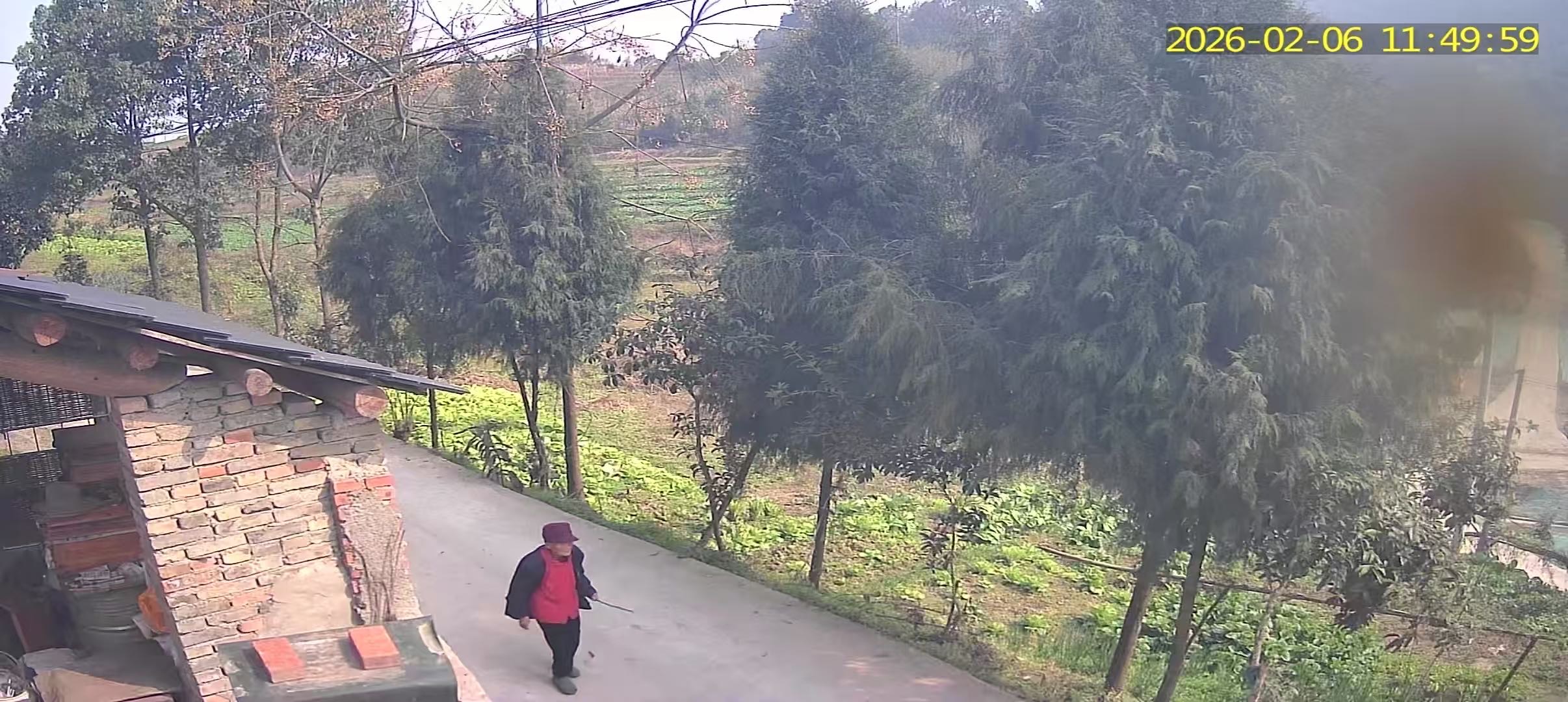 走失者照片 找到人现金酬谢10000元