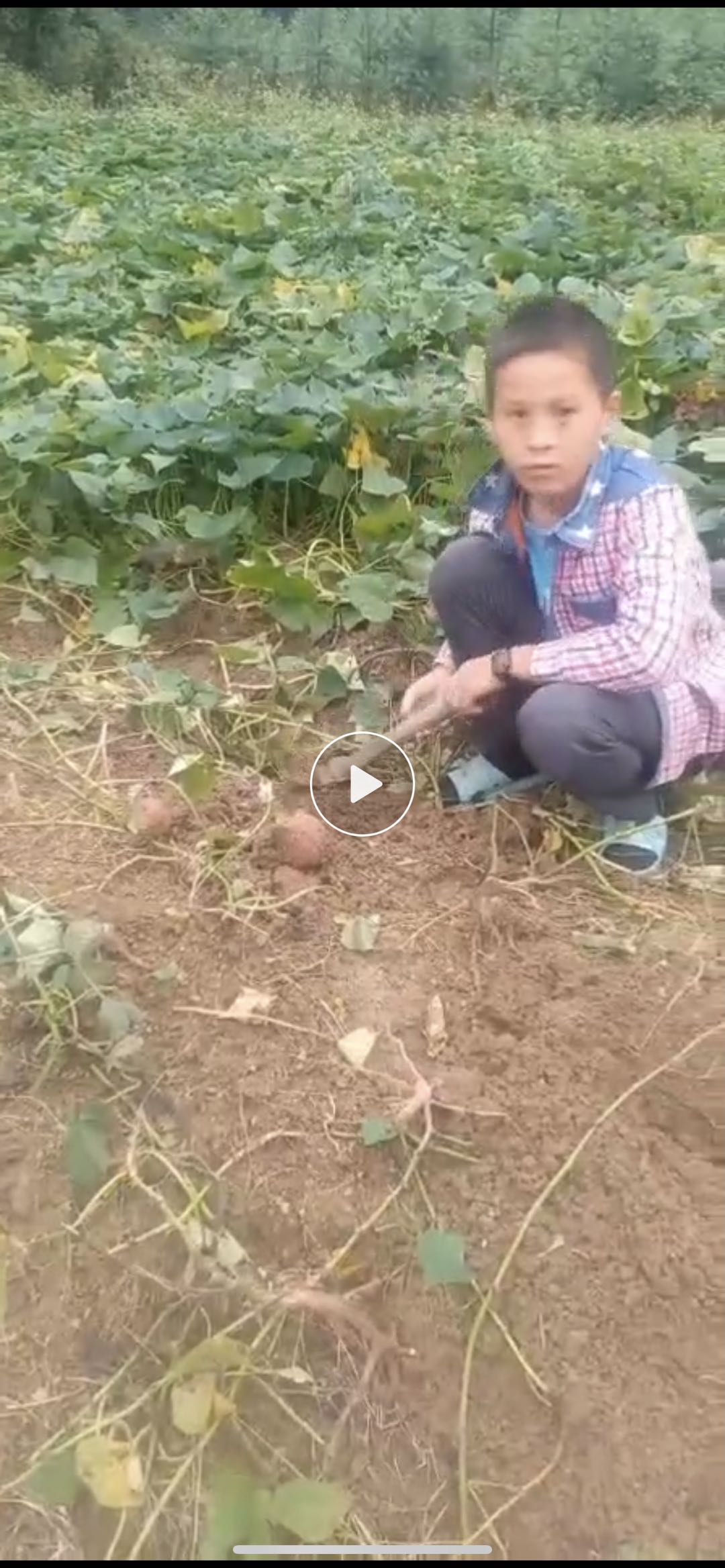 走失者照片 大家都帮帮忙，留意一下这个小孩