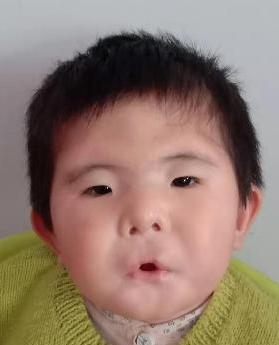 走失者照片 全国救助站
