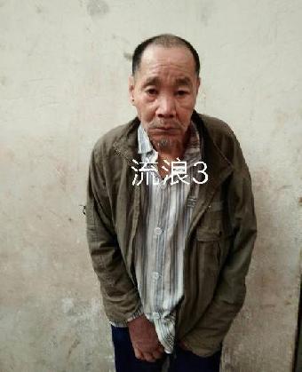 走失者照片 全国救助站