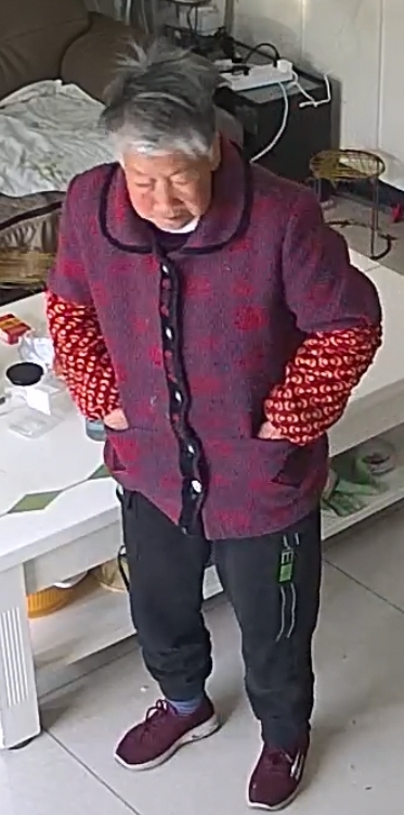 走失者照片 我的妈妈于2021年4月18月在汉...