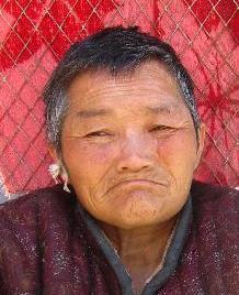 走失者照片 全国救助站