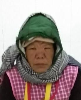 走失者照片 全国救助站
