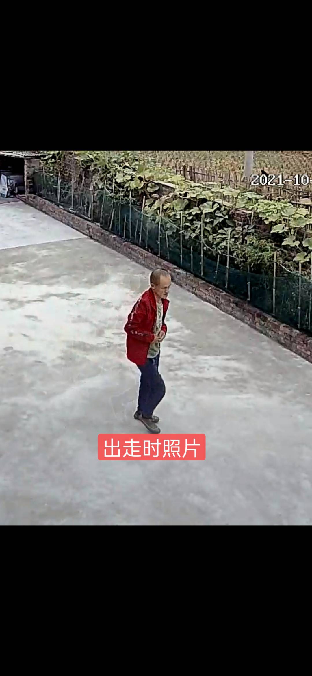 走失者照片 急急！弟弟你在哪里  家人盼望你早...