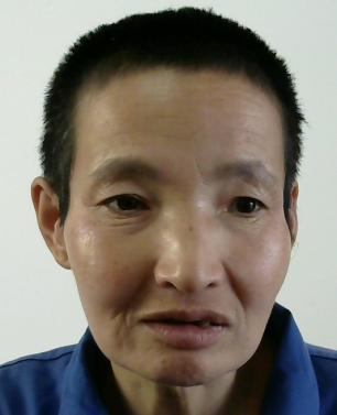 走失者照片 全国救助站