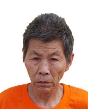 走失者照片 全国救助站
