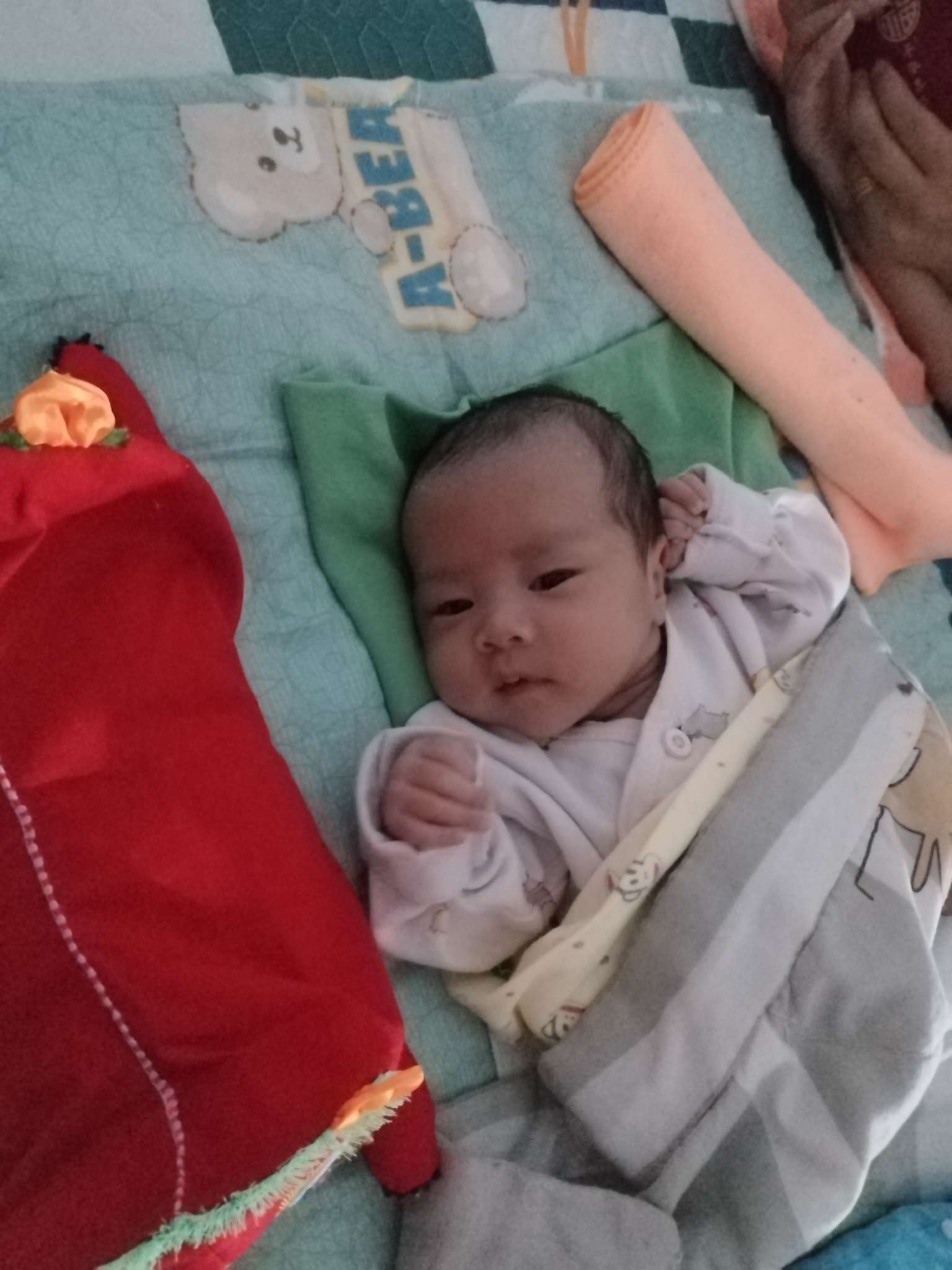走失者照片 抱养一个男婴为他寻找家人