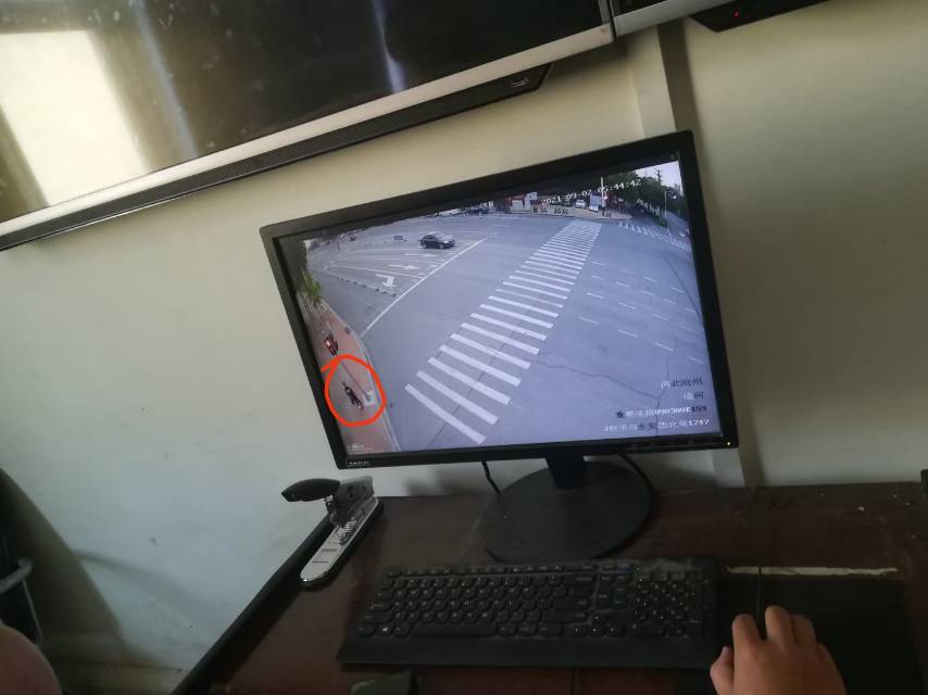 走失者照片 亲人走失，恳请转发
