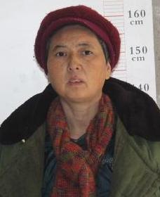 走失者照片 全国救助站