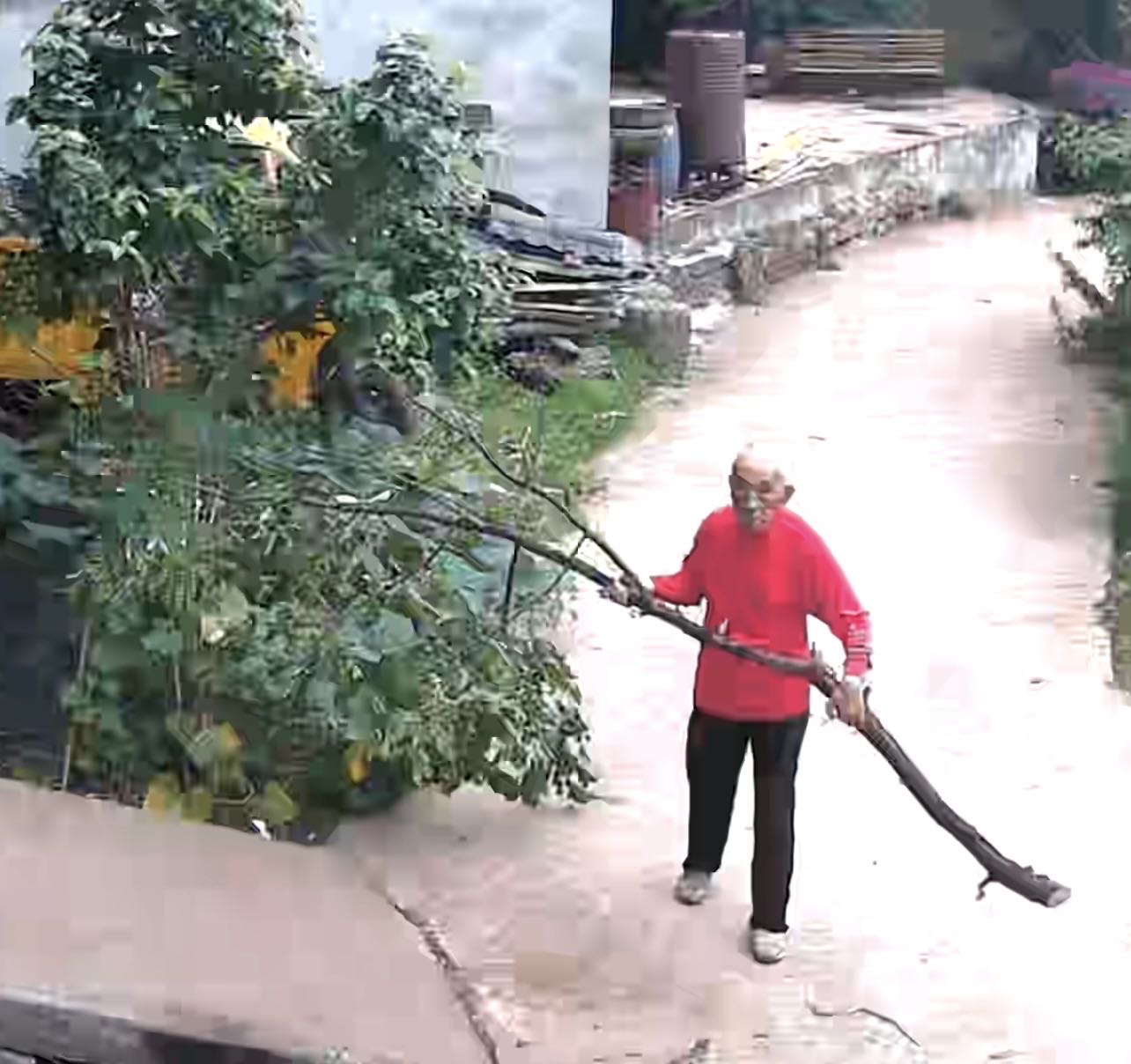走失者照片 希望大家伸出援助之手