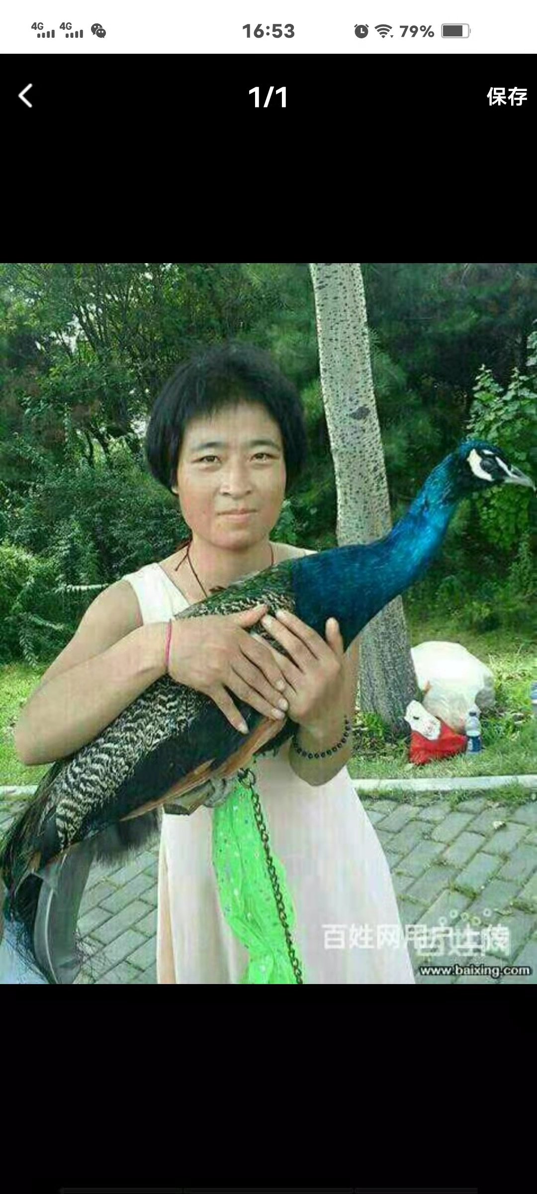 走失者照片 杨莲春