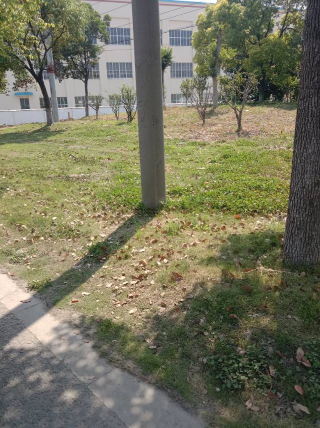 走失者照片 我带小孩给电瓶三轮车撞了，司机逃肇