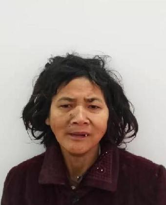 走失者照片 全国救助站