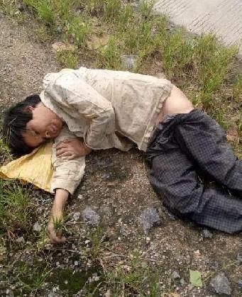 走失者照片 全国救助站
