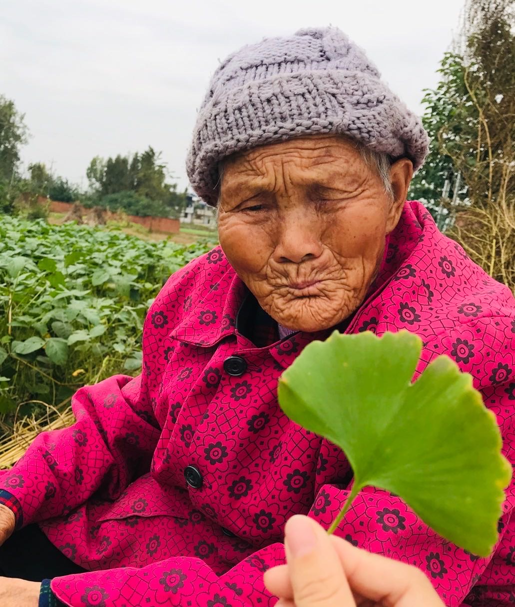 走失者照片 紧急寻人，八旬老人走失！