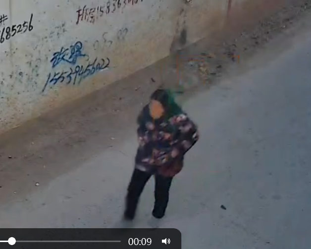走失者照片 请大家帮忙找我的妈妈。