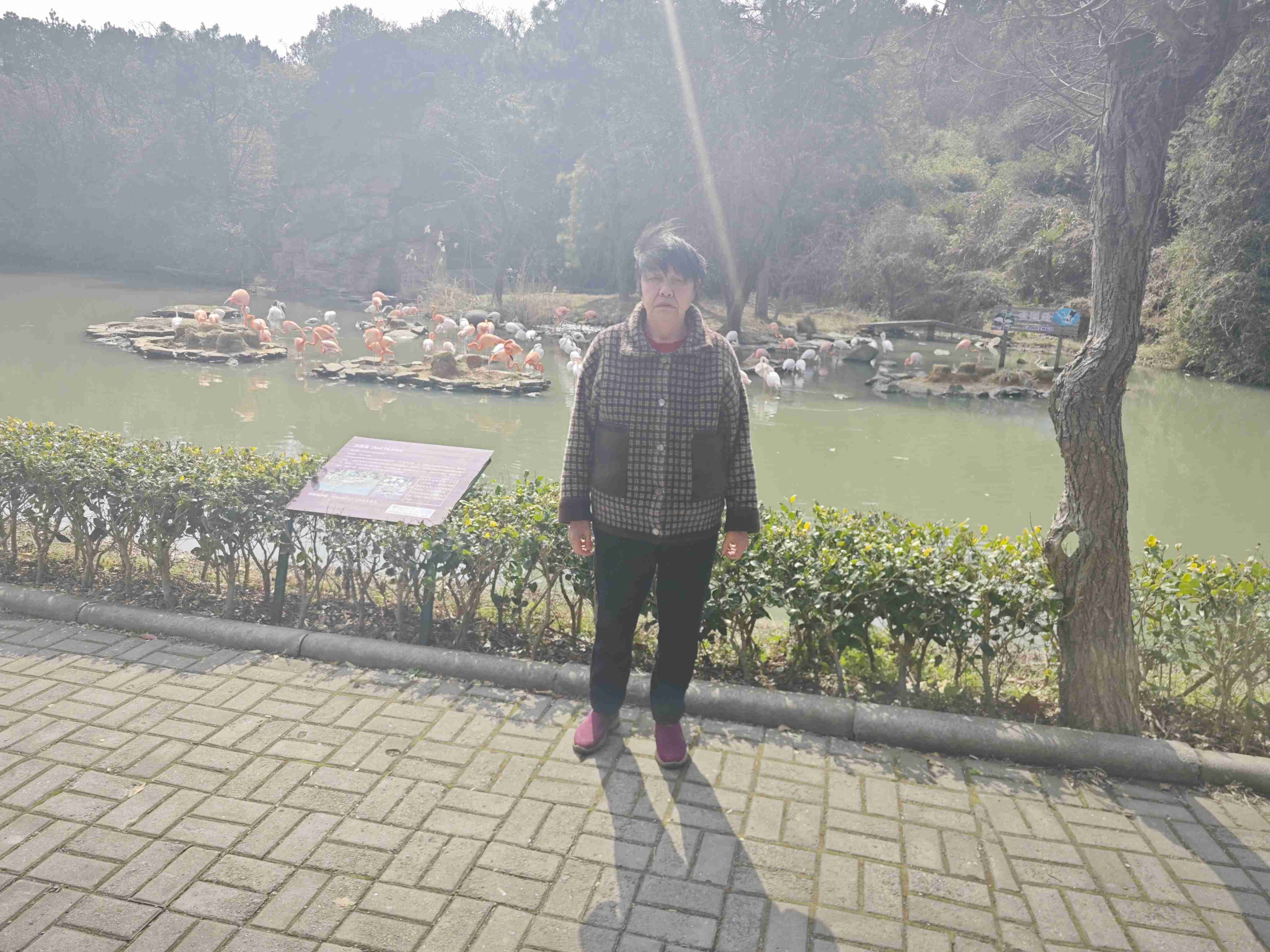 走失者照片 请大家帮忙找找我妈妈，她有精神病