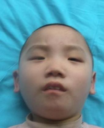 走失者照片 全国救助站