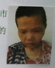 走失者照片 全国救助站