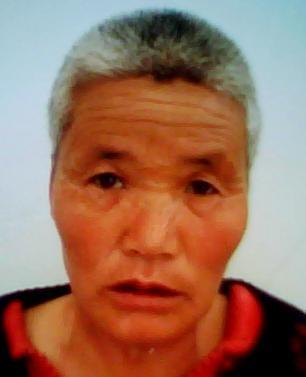 走失者照片 全国救助站