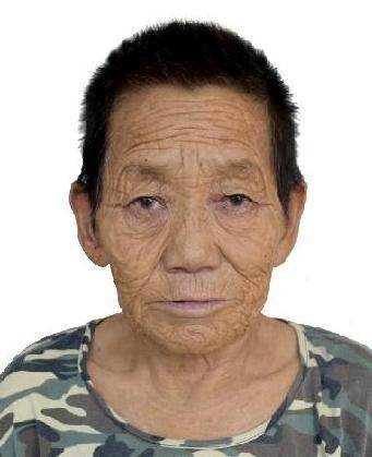 走失者照片 全国救助站