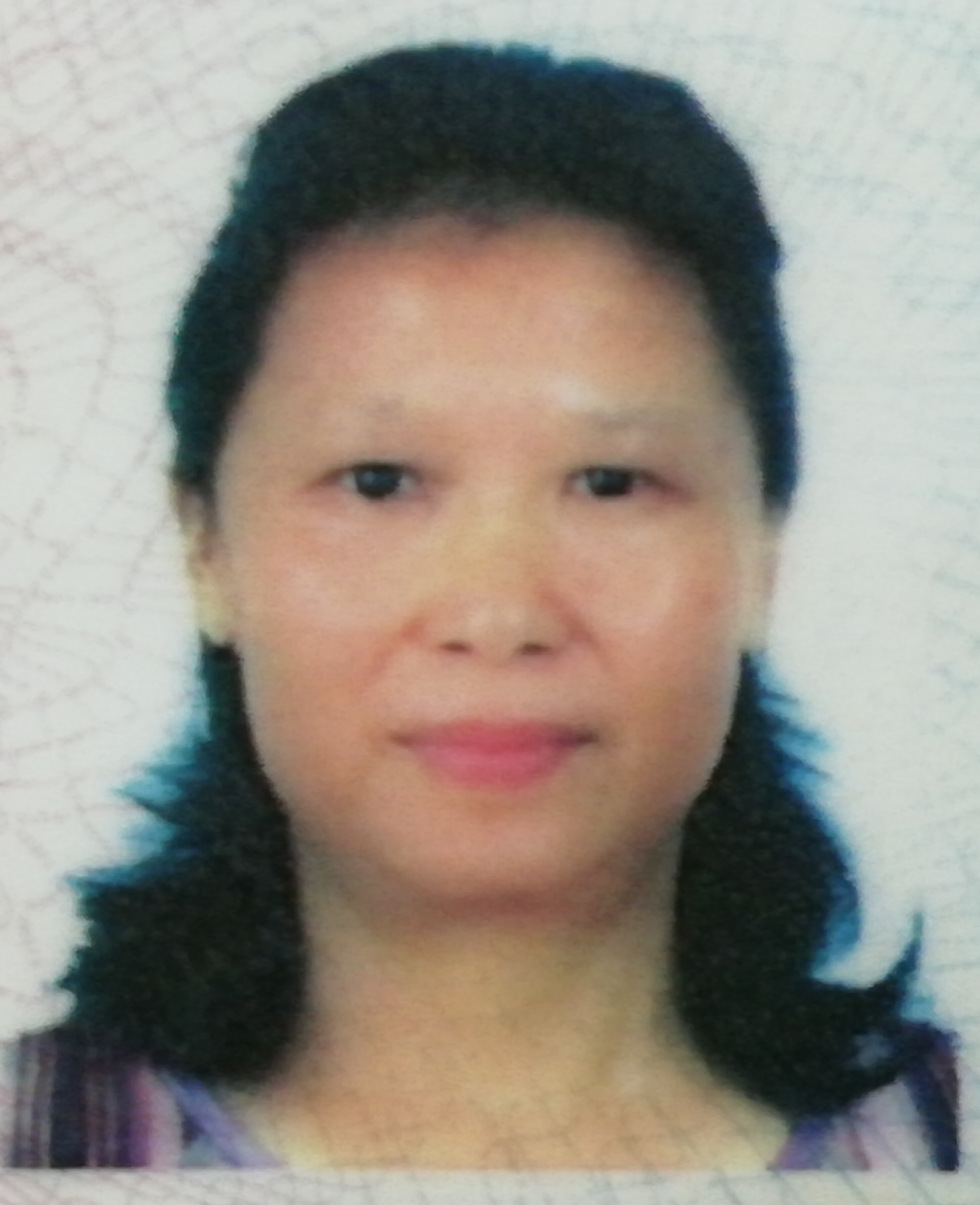 走失者照片 妈妈您在哪里