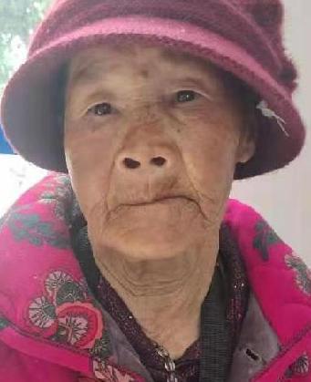 走失者照片 全国救助站
