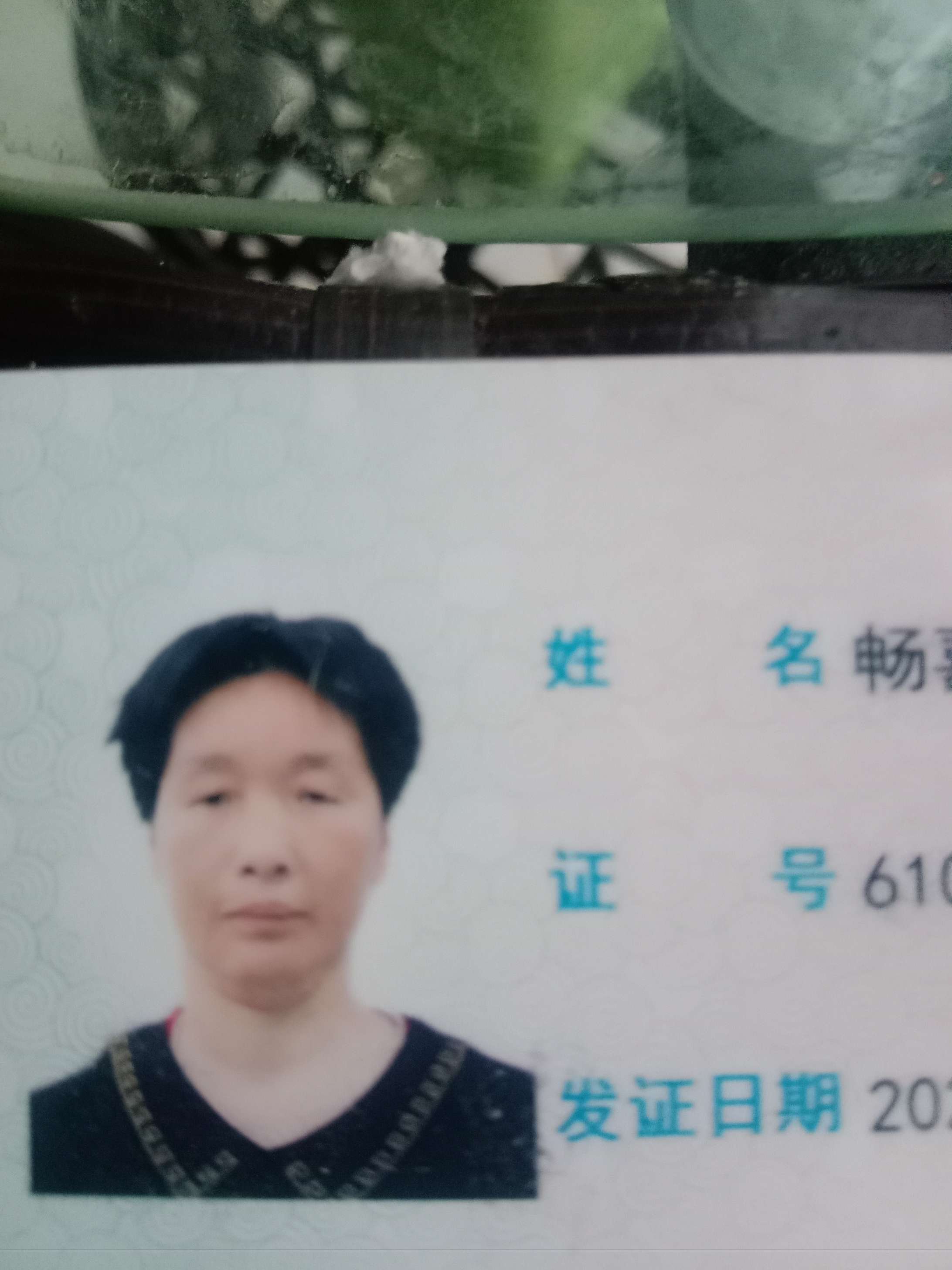 走失者照片 提供线索和知情况者经核实有礼相谢