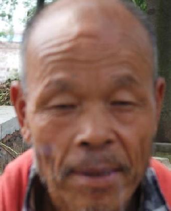 走失者照片 全国救助站