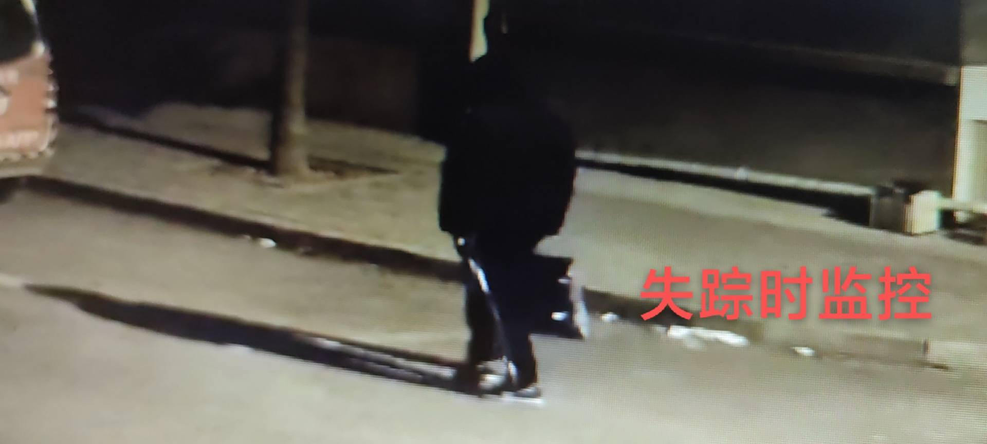 走失者照片 请求好心人的帮助，找到必有重谢