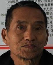 走失者照片 全国救助站