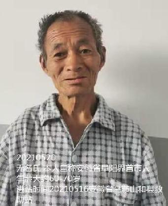 走失者照片 全国救助站